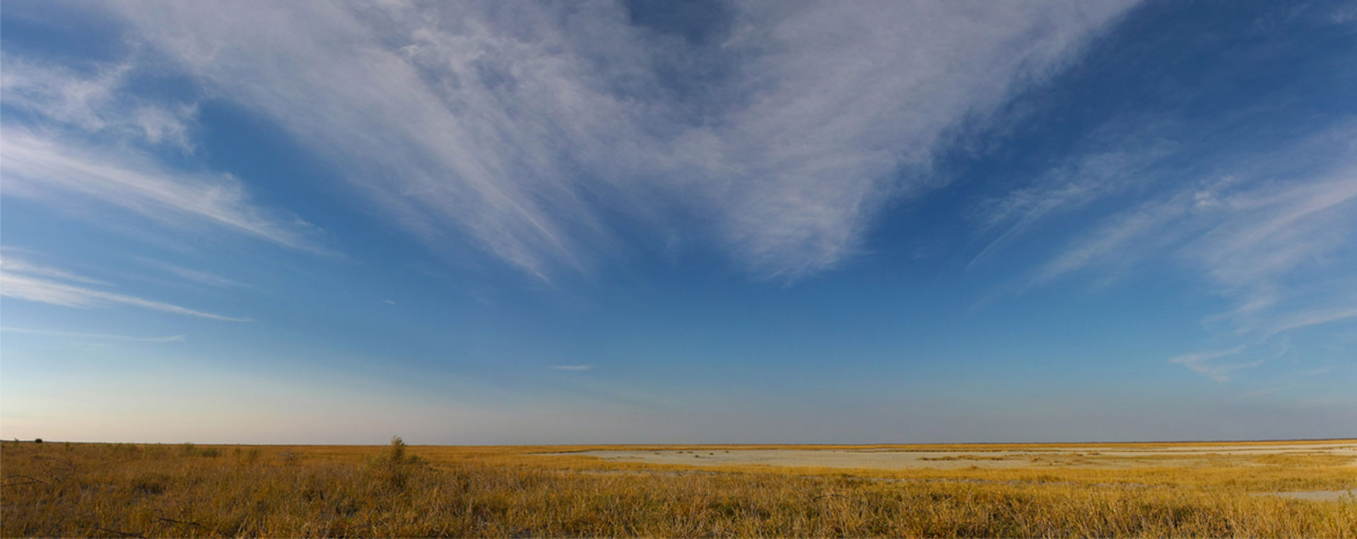 Panorama---Botswana--NPN06--homepage Panorama---Botswana--NPN06--homepage